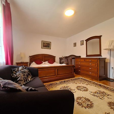 Lelia Residence Apartments 브라쇼브 외부 사진