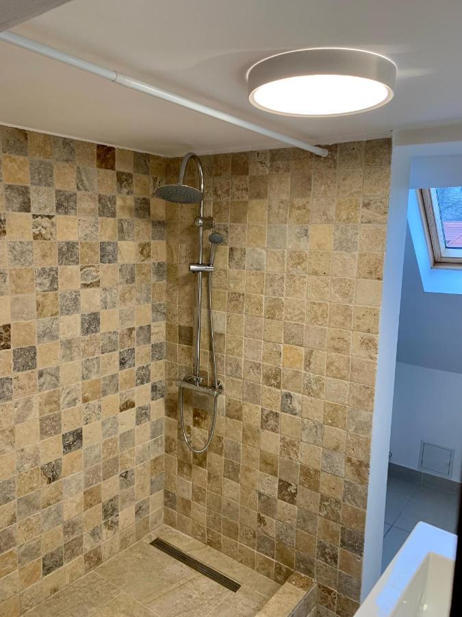 Lelia Residence Apartments 브라쇼브 외부 사진