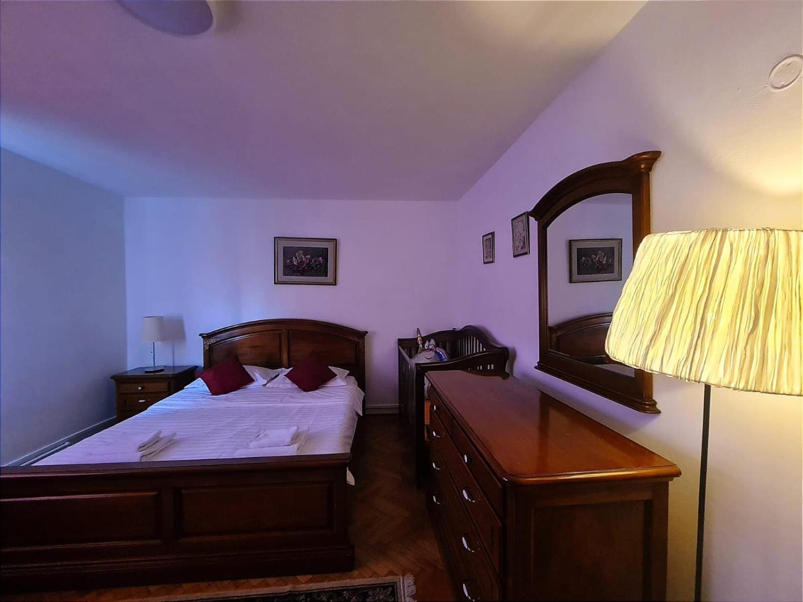 Lelia Residence Apartments 브라쇼브 외부 사진