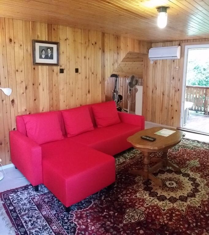 Lelia Residence Apartments 브라쇼브 외부 사진