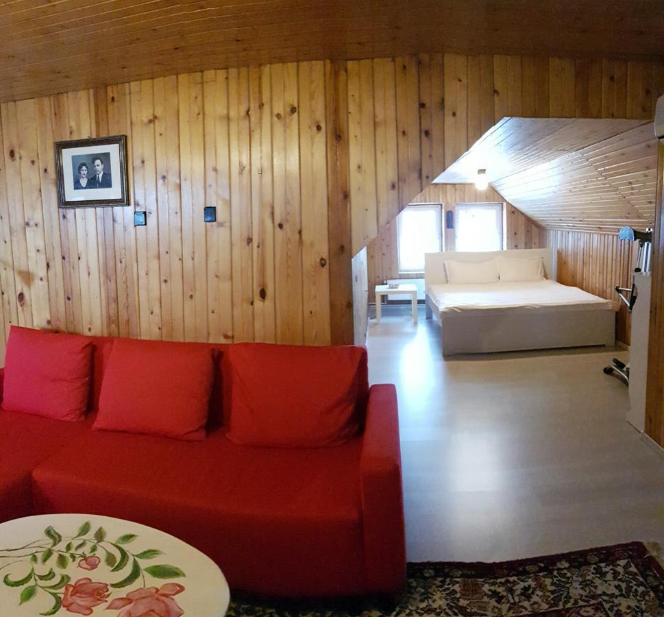Lelia Residence Apartments 브라쇼브 외부 사진